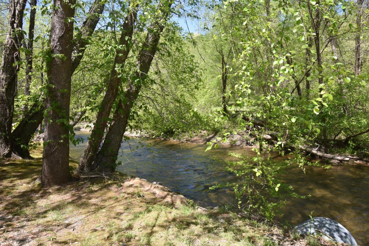 Riverside Trout Cottage ヘレン エクステリア 写真